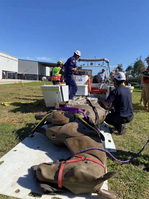 Veterinary Emergency Response Team (Massey University Foundation)