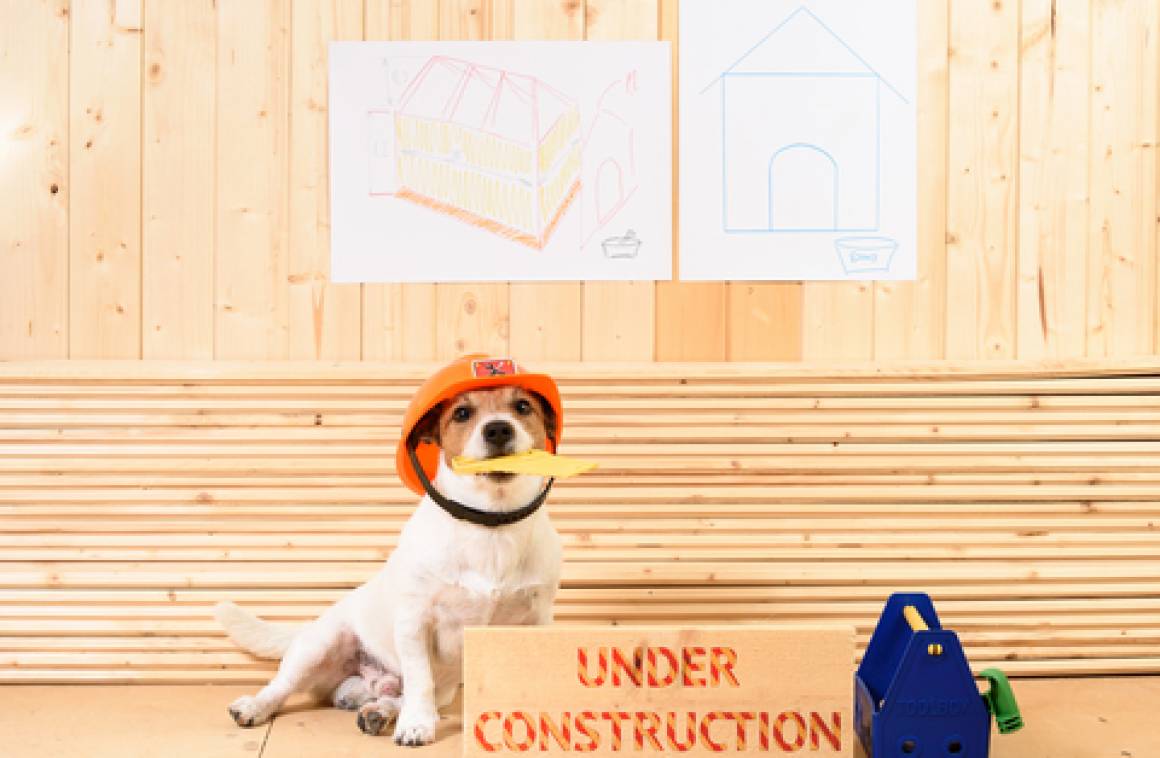 Exciting milestone reached in the construction of the Pet Refuge shelter