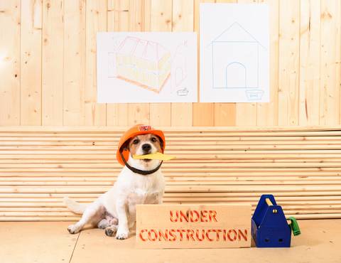 Exciting milestone reached in the construction of the Pet Refuge shelter