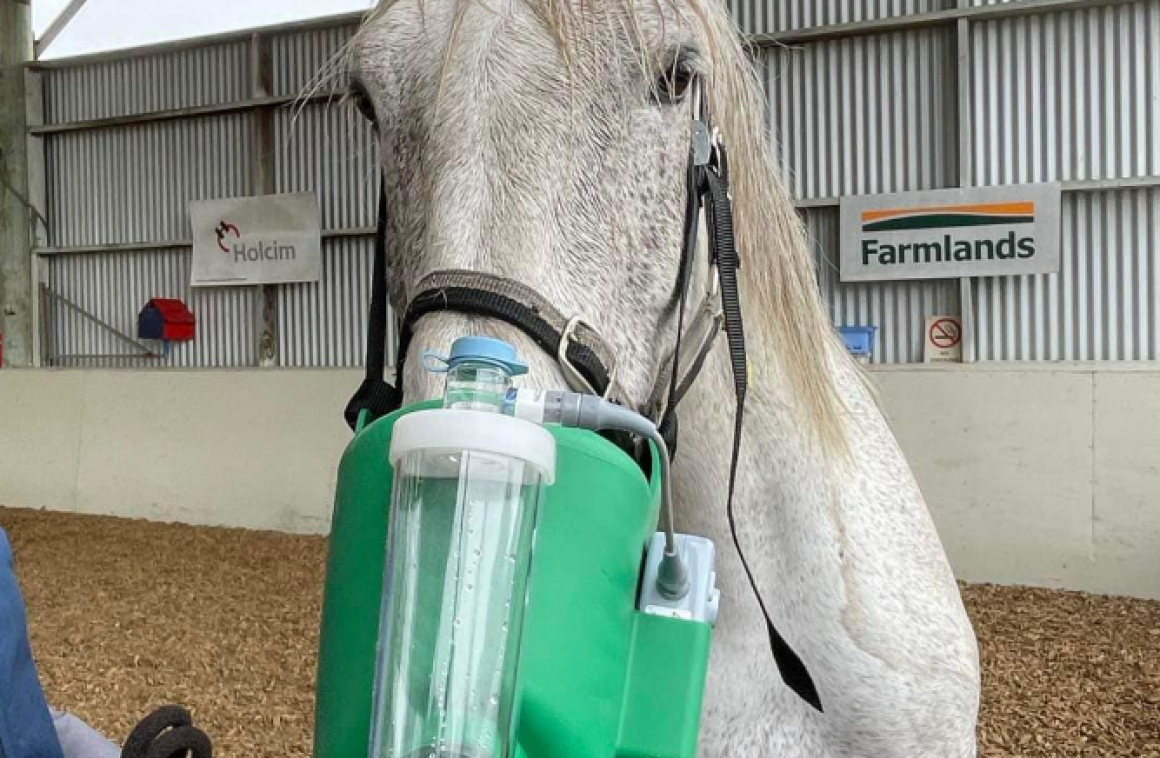 Breathing easier at the Hastings RDA