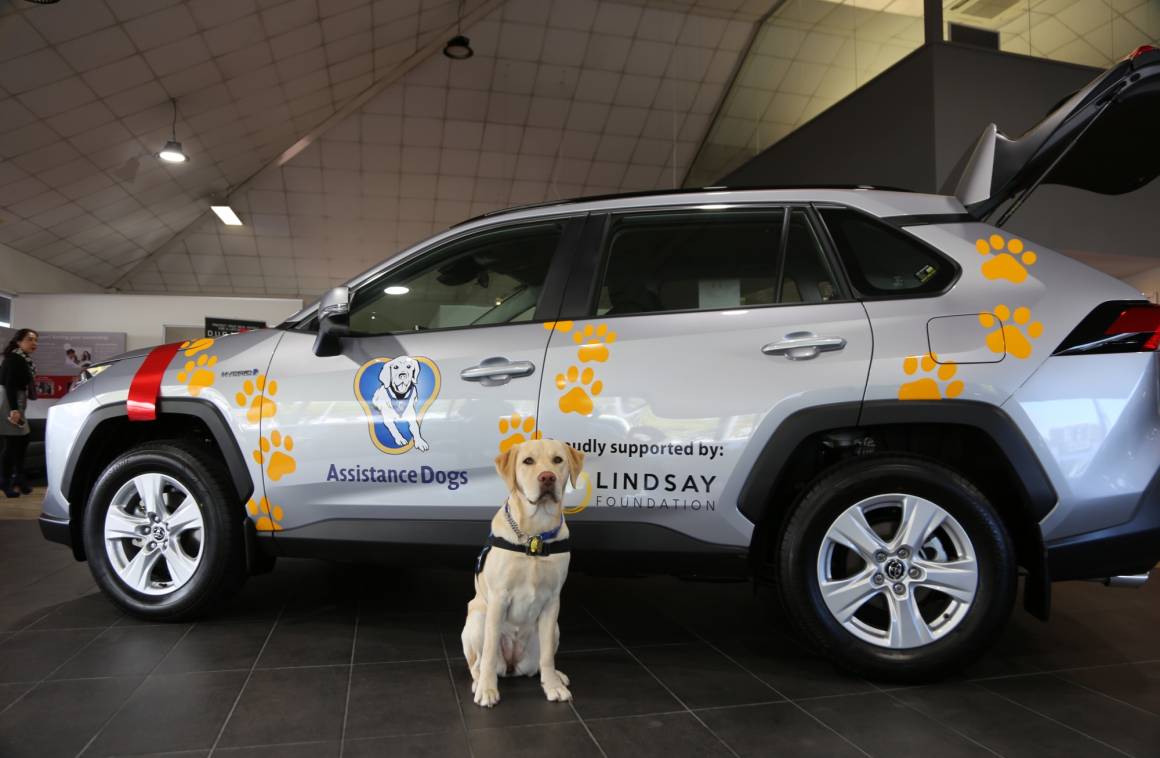 The Lindsay Foundation RAV4 receives the Woof of approval