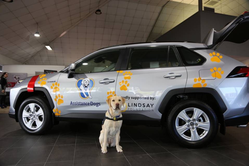 The Lindsay Foundation RAV4 receives the Woof of approval